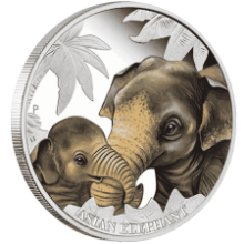 Picture of 2014 Australian 1/2oz Silver Mother's Love Elephant Proof Coin in Presentation Box